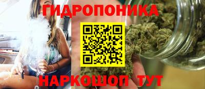 ECSTASY Моздок