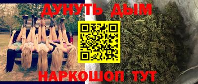 прущие крисы Можга