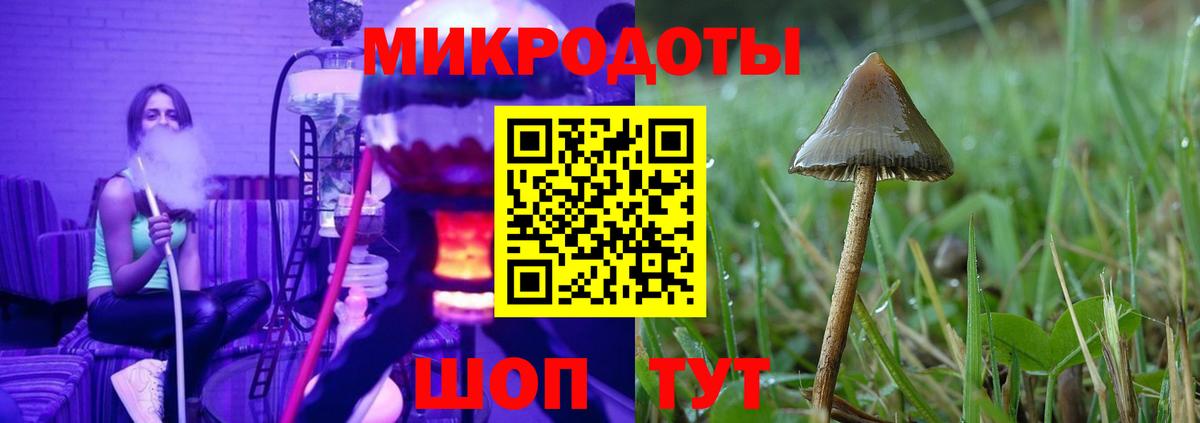 Галлюциногенные грибы ЛСД  Вход с VPN  Гудермес 